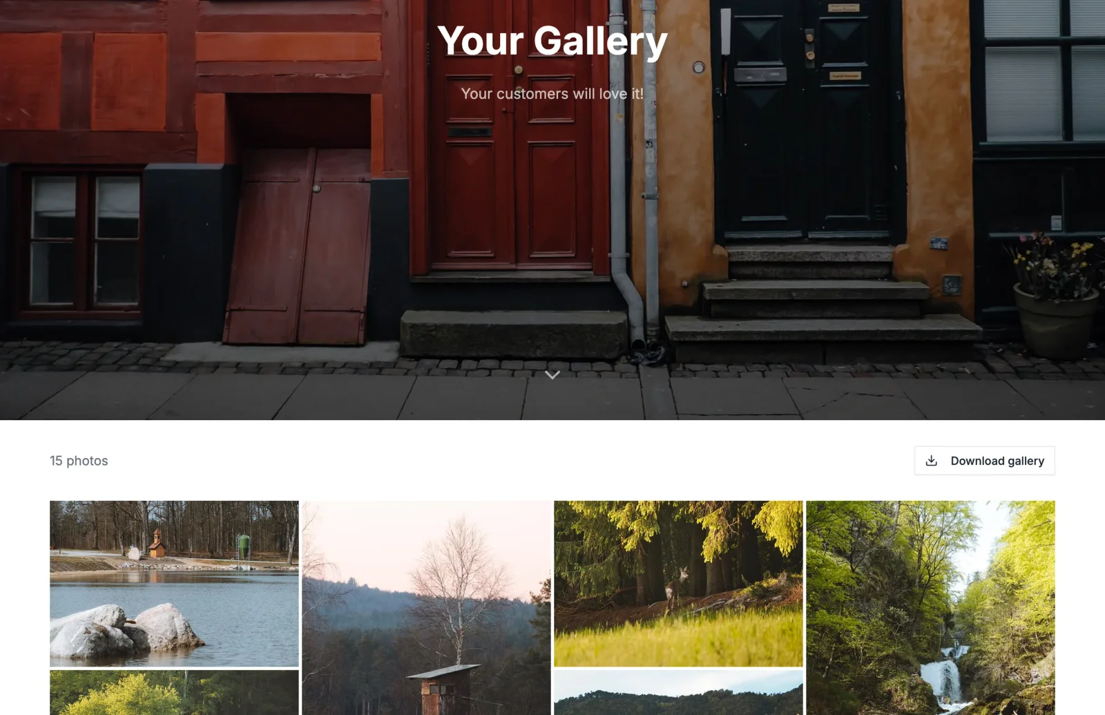 One gallery. Everything your client needs.